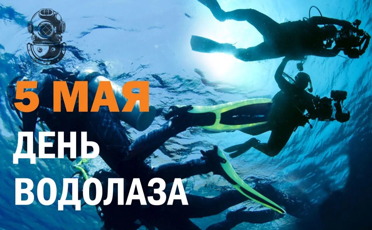 5 мая это день чего. День водолаза. водолаз прикольные картинки.