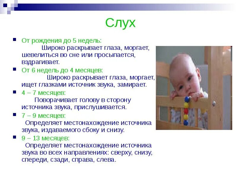 Что должен уметь в 5 месяцев