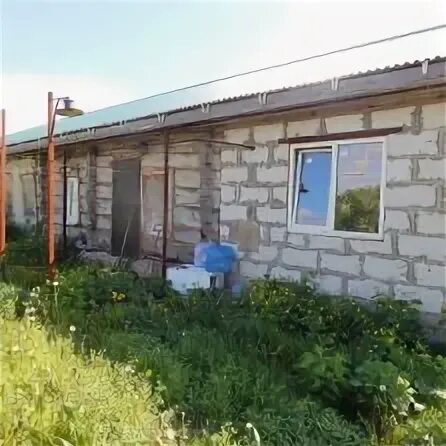 Погода калиново белгородская. Погода калиново белгородская. Погода калиново белгородская. Деревня ураково. Жабья гора калиново.