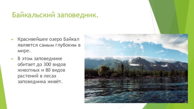 Байкальский заповедник России доклад. Заповедники Байкала презентация. Презентация на тему Байкальский заповедник. Байкальский заповедник рассказ. Байкальский заповедник информация