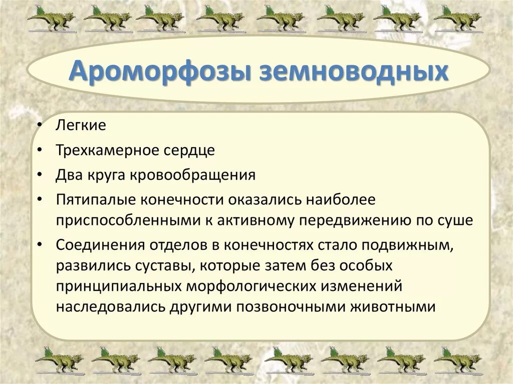 Основные ароморфозы класса земноводных. Ароморфозы первых земноводных. Ароморфозы амфибий таблица. Ароморфозы земноводных таблица ЕГЭ. Появление пятипалой конечности ароморфоз