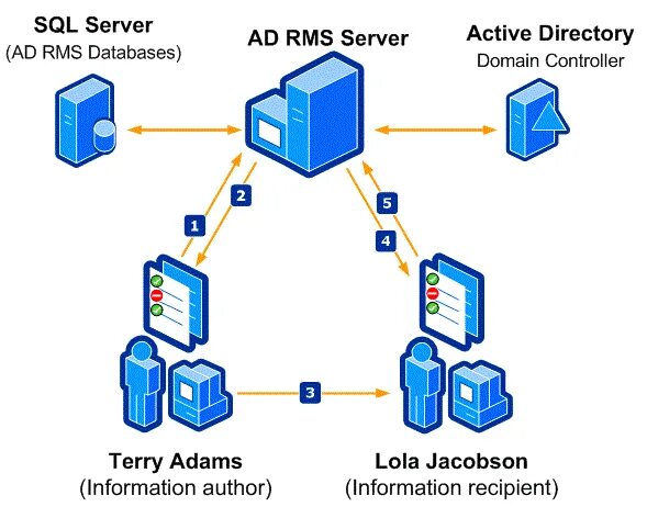 Rms viewer. RMS сервер. Архитектура ad RMS. RMS виндовс. Active Directory.