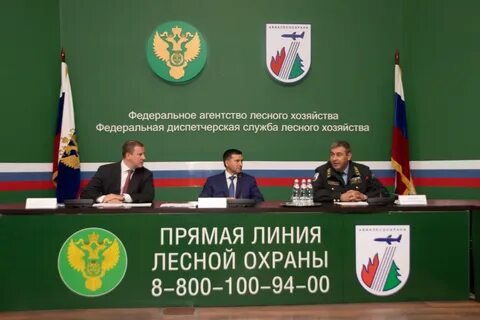 Федеральное агентство лесного хозяйства деятельность