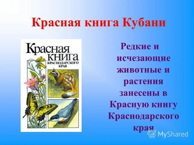 Животные красной книги краснодарского края. Животных и растений, занесённых в красную книгу Краснодарского края. Красная книга Кубани животных и растений. Проект по кубановедению 2 класс красная книга Краснодарского края. Проект животные Краснодарского края занесенные в красную книгу.