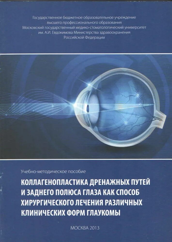 Задний полюс глаза. Коллагенопластика глаз. Дренажные пути глаза. Полюса глаза.