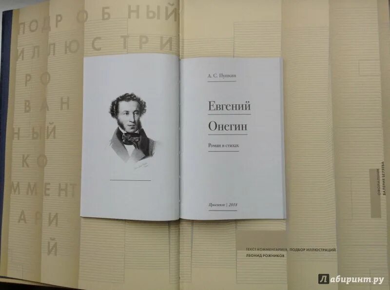 Набоков комментарии к евгению онегину. Самокиш-судковской онегин. Комментарии к романам. Примечания в книге. Набоков комментарии к евгению онегину.