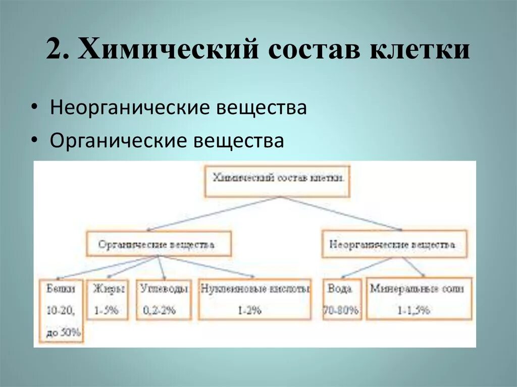 Неорганические живые клетки. Химический состав клетки. Химический остав клетки. Химический состав клетки вещества. Химический состав клетки неорганические вещества.