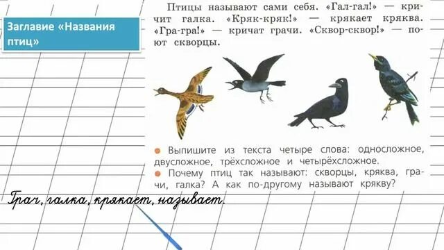 1 Класс русский страница 66. Птицы русский язык 2 класс. Прочитайте назовите птицу. Русский язык 2 класс упр 97. Русский язык 2 кл стр 97