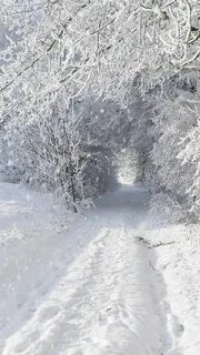 Белым снегом обработка