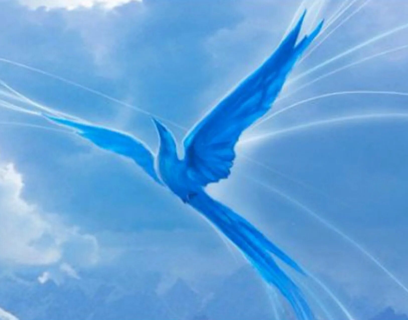 Синяя птица. Птица счастья. Синяя птица счастья. Птица цвета ультрамарин. Вслед за синей птицей