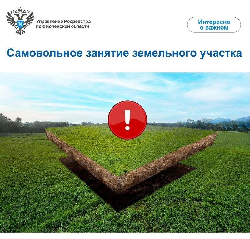 управление росреестра смоленск. руководитель росреестра по смоленской области. росреестр смоленск. кадастр смоленское. кадастр смоленское.