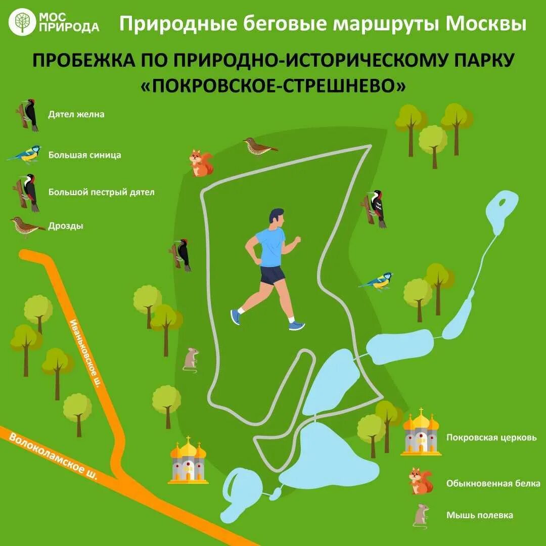 Забег маршрут москва. Покровское-стрешнево парк маршруты. парк покровское-стрешнево карта парка. маршруты для бега в москве. беговой маршрут.