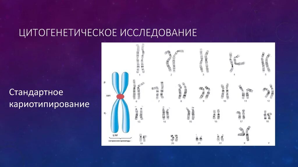 Все хромосомы кроме половых. Цитогенетический метод исследования кариотипа. Цитогенетические исследования кариотип. Цитогенетическое исследование (или кариотипирование). Цитогенетический метод изучения кариотипа.