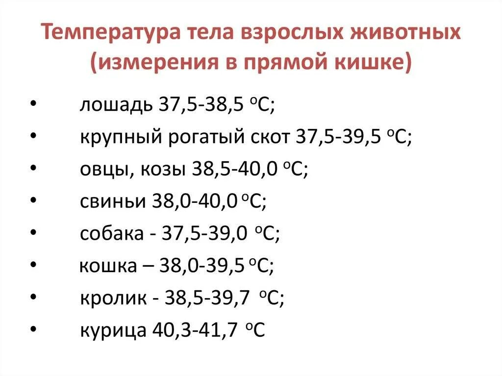 Что делать если температура 35 у ребенка. Температура тела. Показатели температуры тела человека. Нормальная температура человека. Нормальные показатели температуры тела взрослого человека.