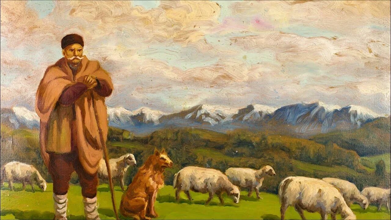 Т чабан. Овчар пастух. чабан пастух овец. чабан пастух кавказ. чобан пастух.