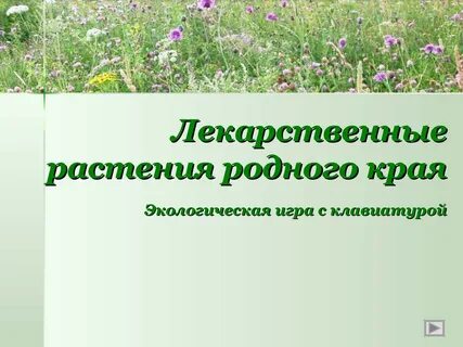 Картинки ЛЕКАРСТВЕННЫЕ РАСТЕНИЯ НАШЕГО КРАЯ