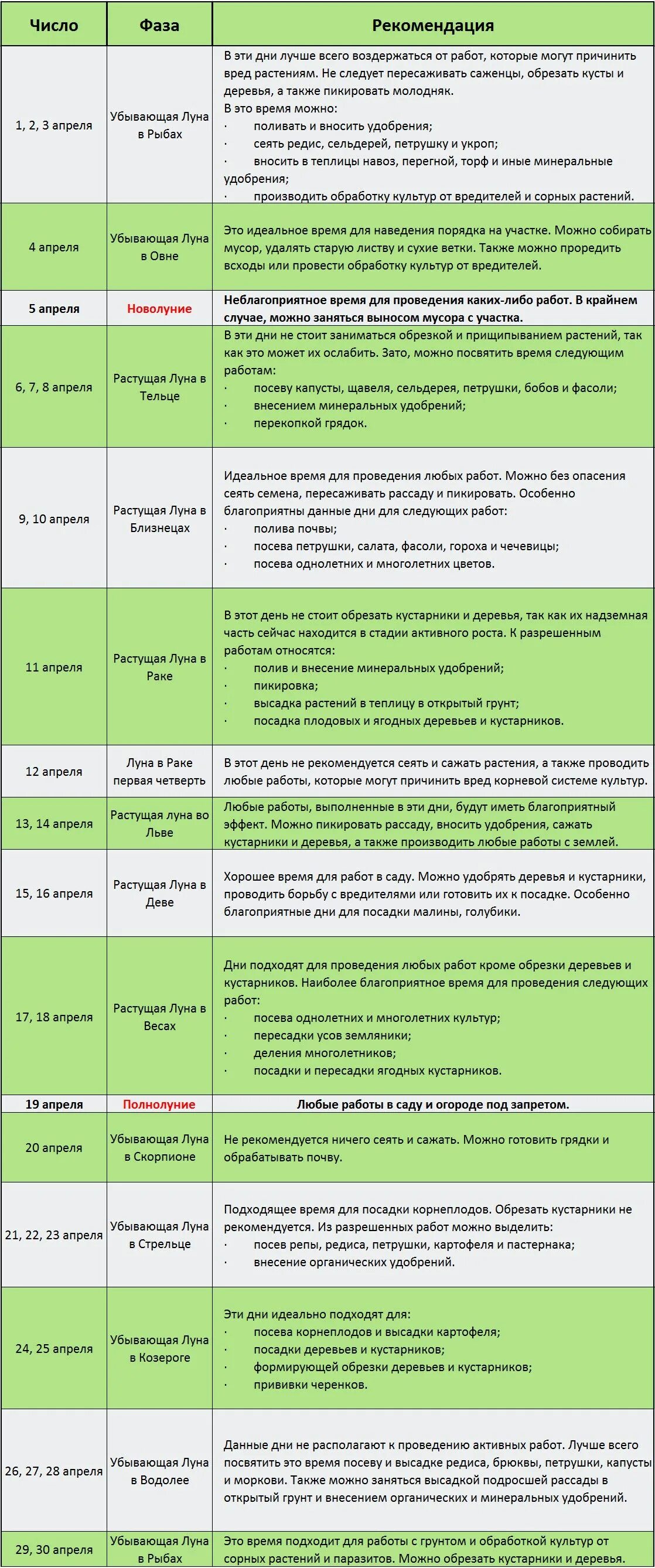 Луна что можно сажать. В какие дни можно сажать. Благоприятные дни для рассады. Благоприятные дни для высадки в грунт цветов. Благоприятное время для посадки деревьев и кустарников.
