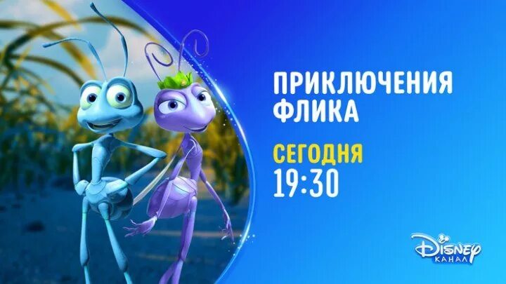 Канал приключения. Приключения Флика канал Disney. Приключения Флика (DVD). Приключения Флика диск. Приключения Флика обложка.