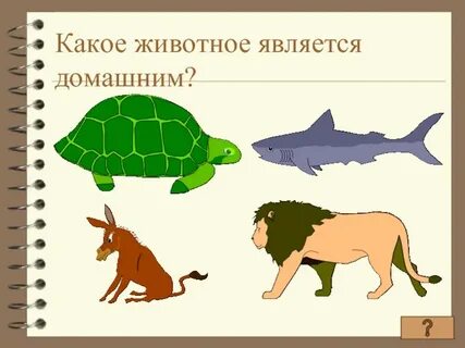 Какое животное является крупнейшим