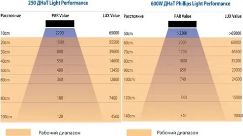 На расстоянии 400