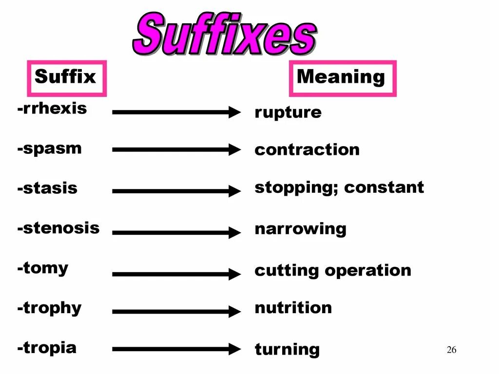 Suffixes meaning. Diminutive suffixes. Diminutive suffixes in English. Suffixes denoting diminutiveness. Перчатки suffix.