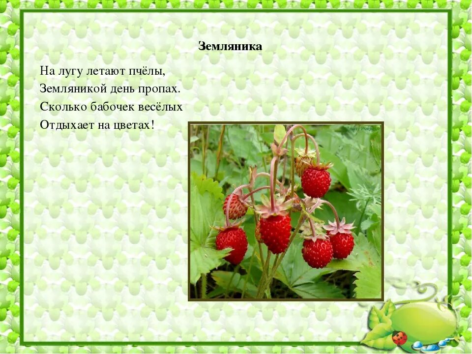 Ягода года года песня. Загадка про землянику. Загадка про землянику для детей. Маленькие стишки на землянике. Стих про клубнику для детей.