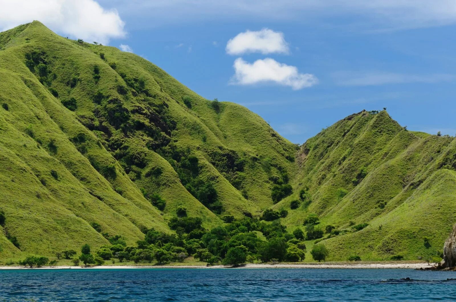 National island. Остров Комодо Индонезия. Национальный парк Комодо. Комодо Флорес. Остров Ринча Индонезия.