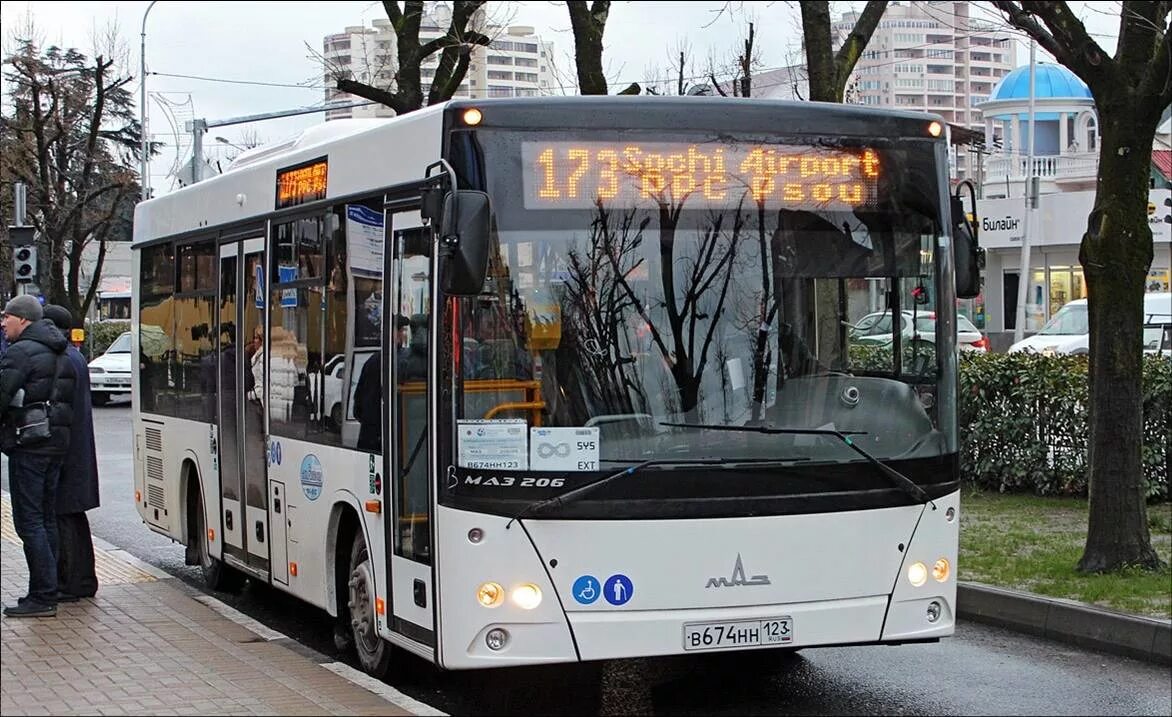 МАЗ 206 Сочи. Сочи автобус Псоу Сочи. Автобус МАЗ 206 086 Сочи. Как добраться до адлера на автобусе