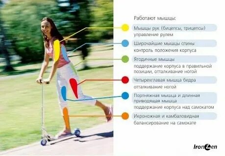 Катание на коньках калории