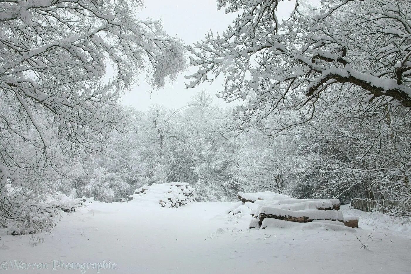 Snowy time