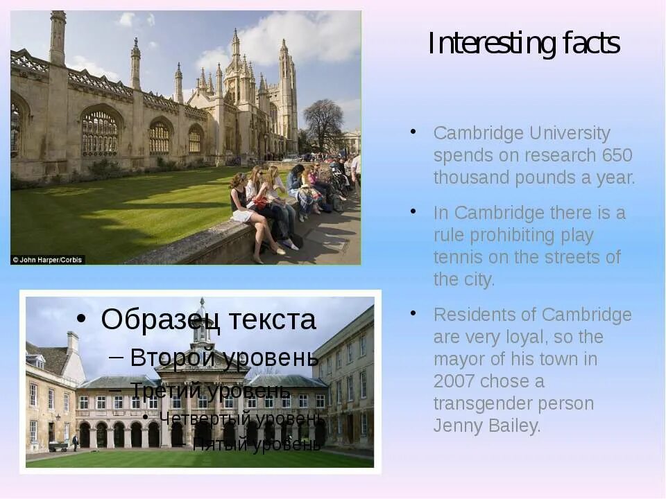 Германия инфографика. Fact fact universities. Факт чекер. Оксфордский университет на английском. Принстонский университет сша.