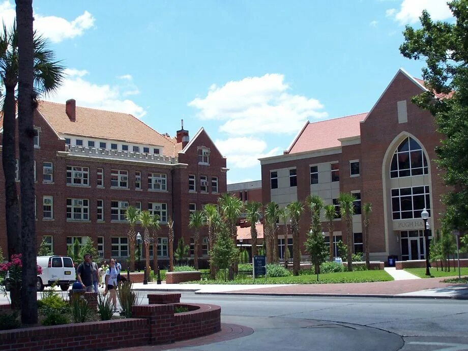 Университет Флориды в Гейнсвилле. Южно-Флоридский университет. University of South Florida Campuses. University of South Florida Tampa, FL.