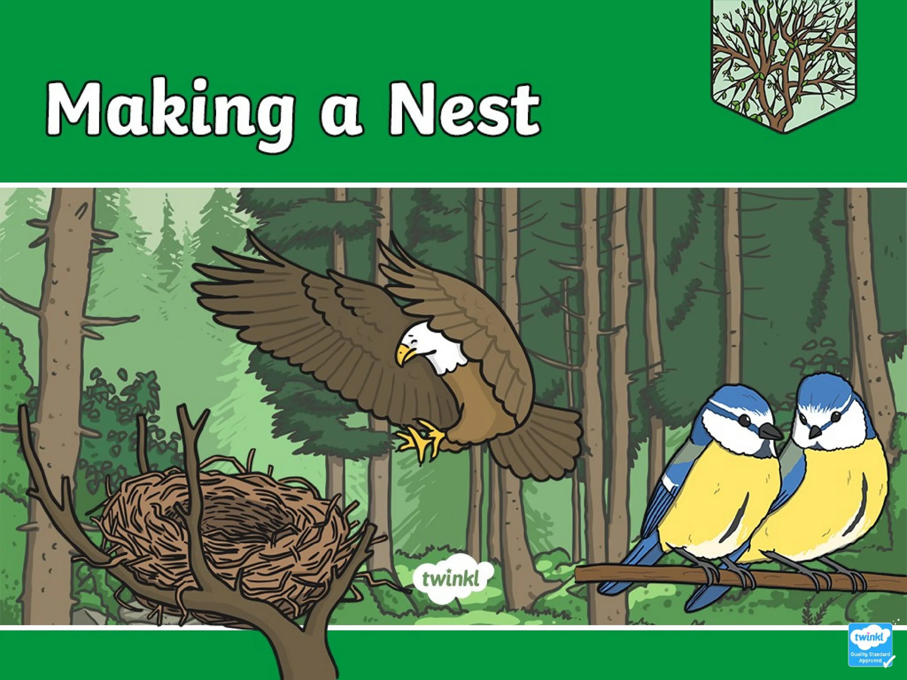 Nest on a Tree with EGGSCARTOON.