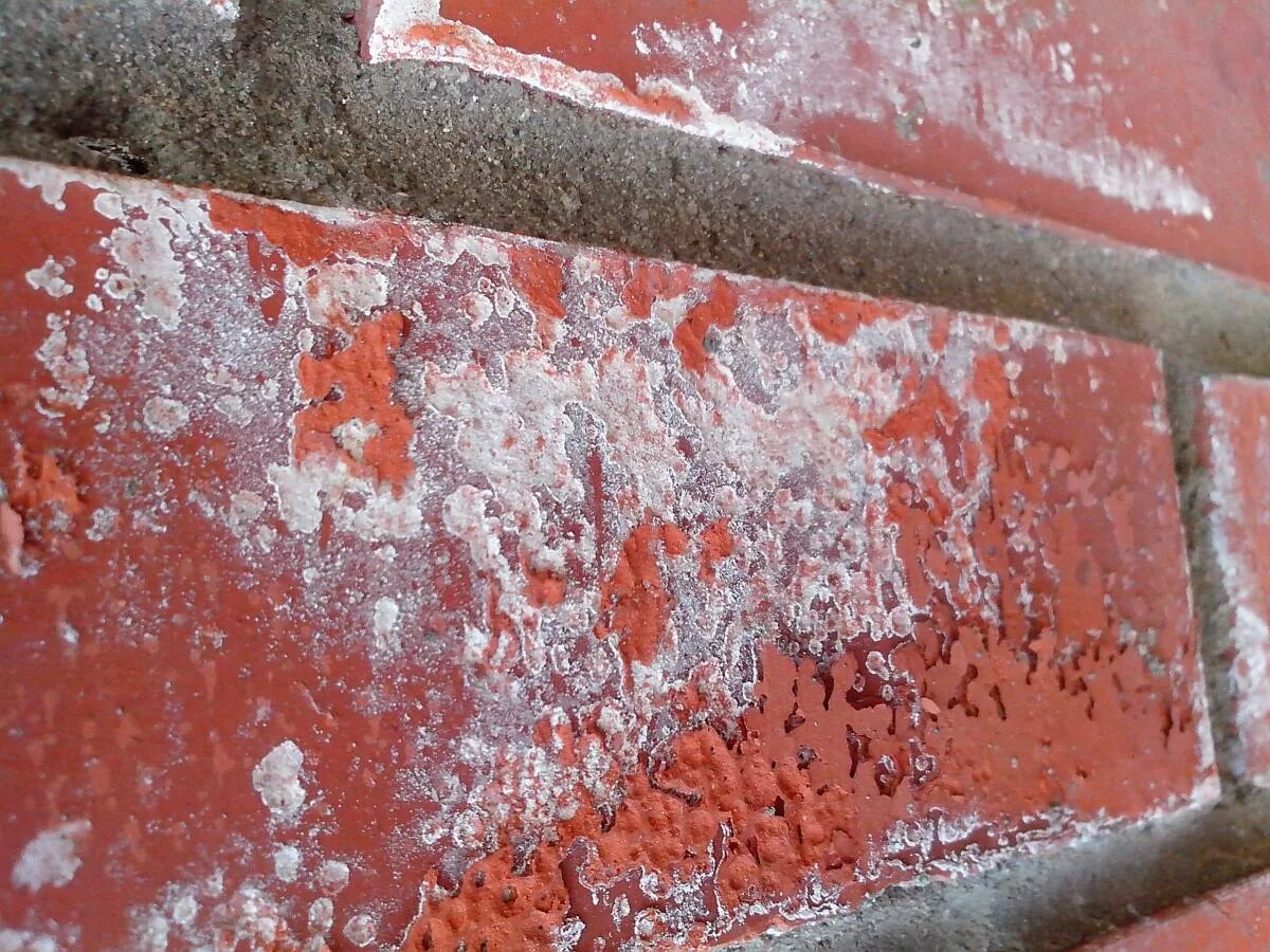 Высолы на брусчатке. Выступает соль. Соли в организме. Поваренная соль происхождение. Высолы плесень.