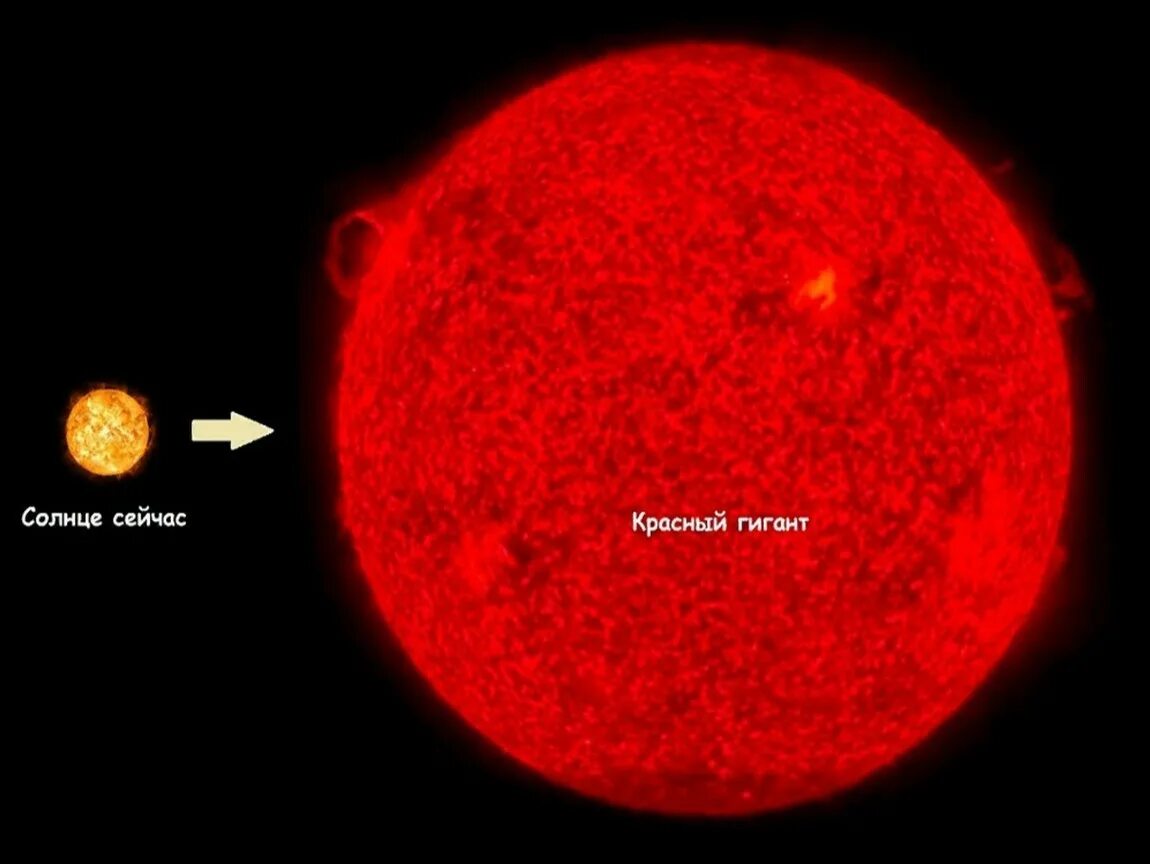 5 звезд карликов. Солнце красный гигант. Красный карлик и красный гигант. Красный гигант звезда. Красные гиганты и солнце Размеры.