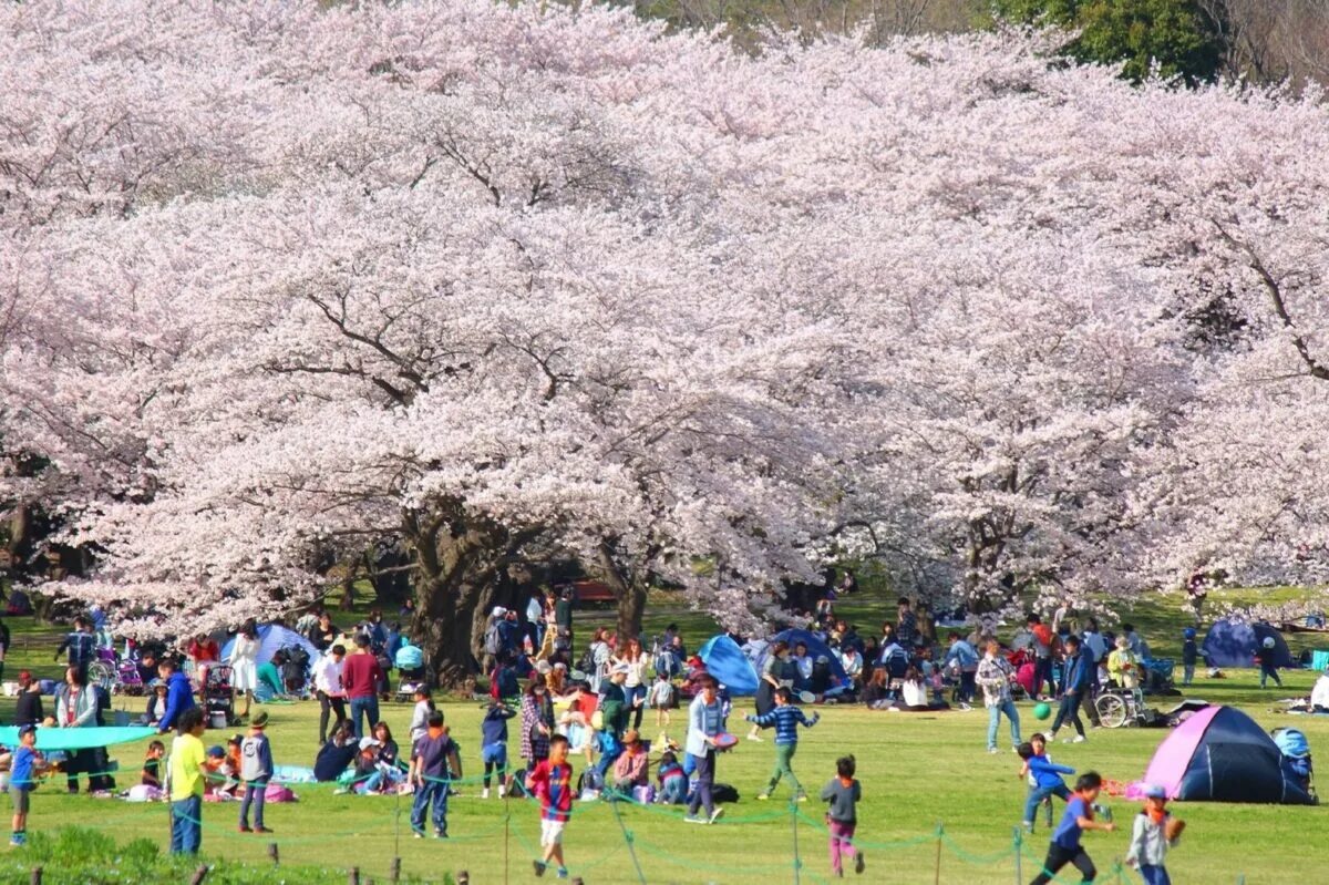 Late march
