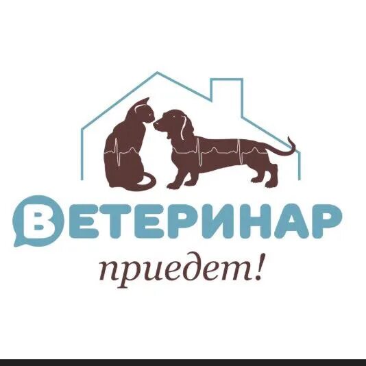 Ветеринар на дом com. Ветврач логотип на дом. Ветеринар. Я ветеринар. Ветеринар с кошкой.