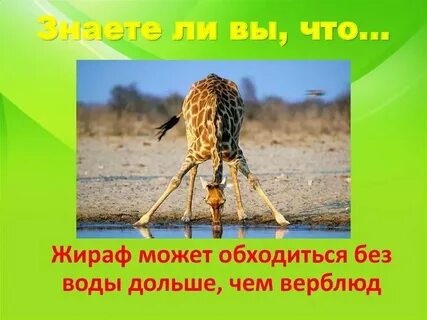 Там не обходится без