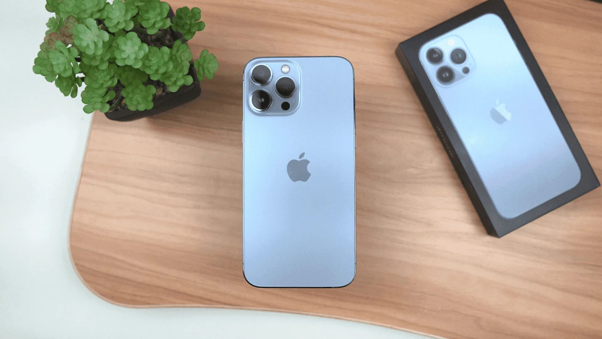Айфон 15 расцветки. Apple 15 pro. Айфон 15 про эйфория. Новые айфоны с одной камерой. Iphone 2023.