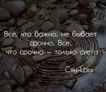 Цитаты на 2024 год