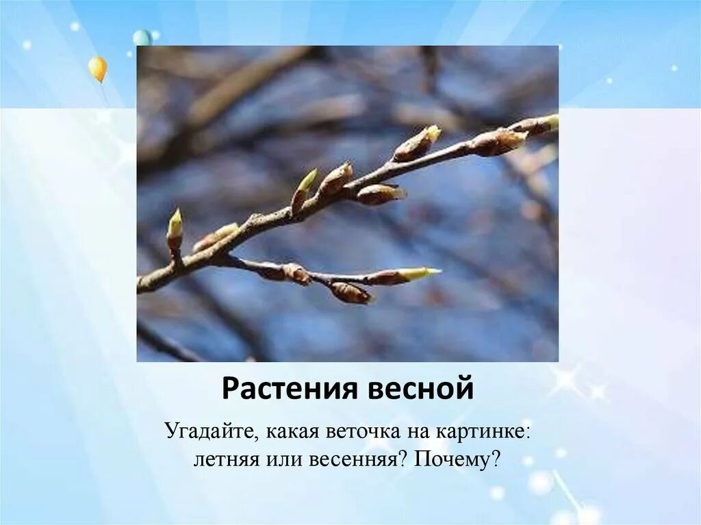 Почему весной слабость. Презентация приход весны.