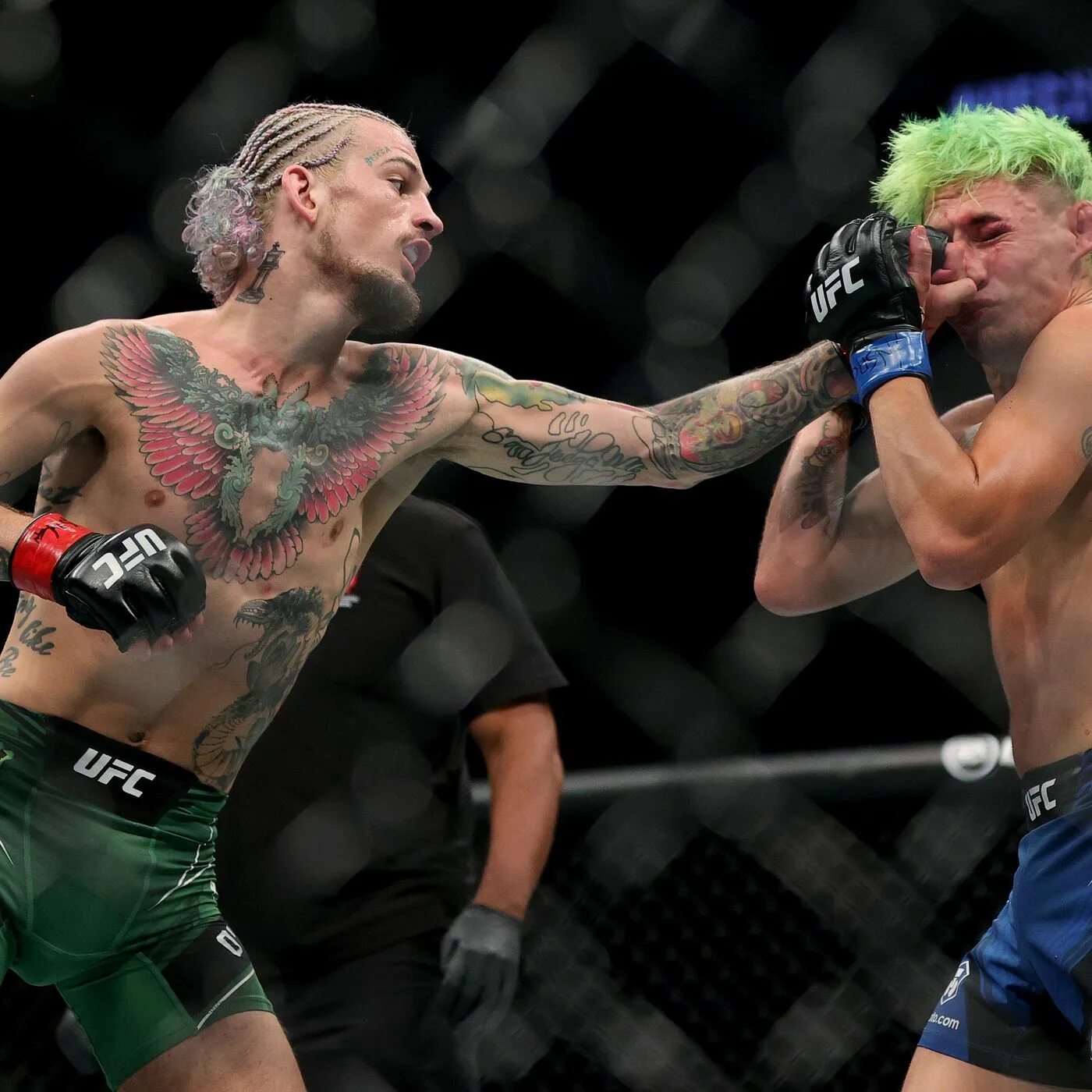Ufc 44. Ufc шон о&#039;мэлли. шон о мэлли ufc.
