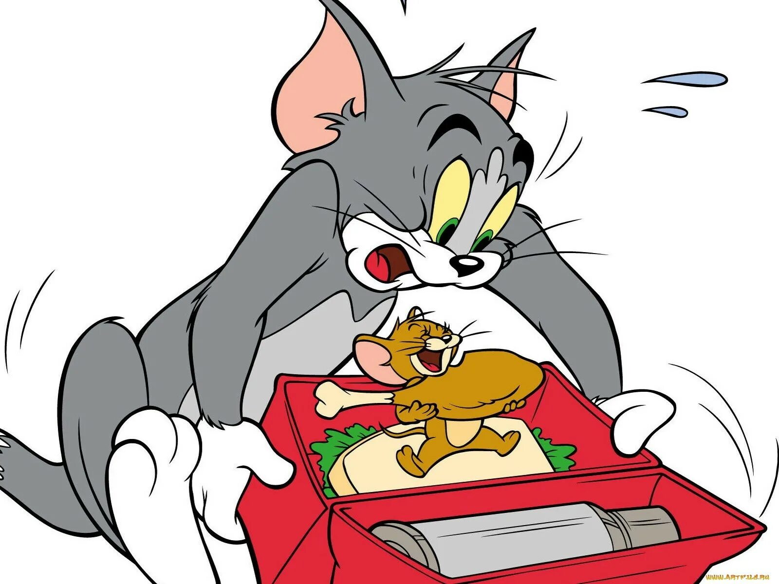 В каком году вышел том и джерри. Tom and Jerry. Том и Джерри том. Том и Джерри Джерри.