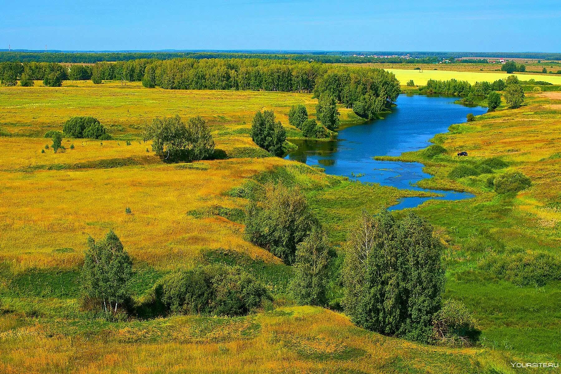 Ландшафт Белоруссии. Пейзажи Беларуси. Беларусь Синеокая. Полесье природа Беларусь. Алей беларуси