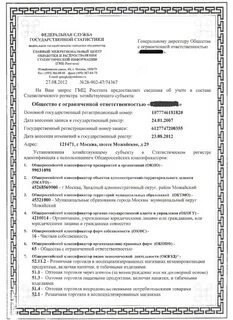 Росстат окфс