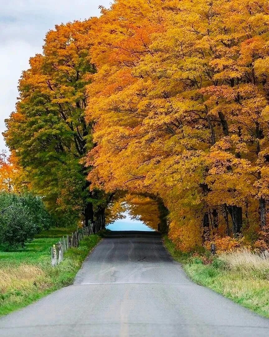 Картинки осень природа. Лес Квебек Канада. Природа осень. Красивая осень. Природа осенью.