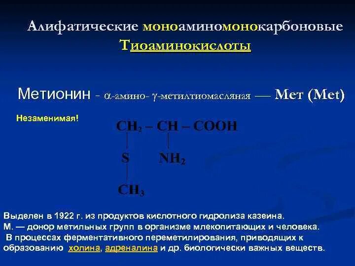 Белки функциональные группы. Моноаминомонокарбоновые. Тиоаминокислот. Аминокислота является донором метильной группы. Донор метильных групп аминокислоты.