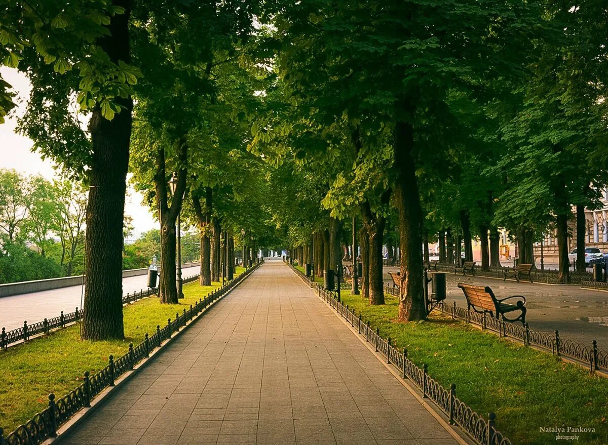 Парк Липовая аллея Электроугли. Липовая аллея в Одессе. Одесса городской парк-. Липовая аллея Гатчина.