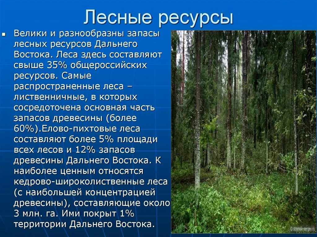 Какими лесными ресурсами богата россия. Лесные ресурсы. Леса дальнего Востока. Лесные ресурсы дальнего Востока России. Лесные ресурсы понятие.