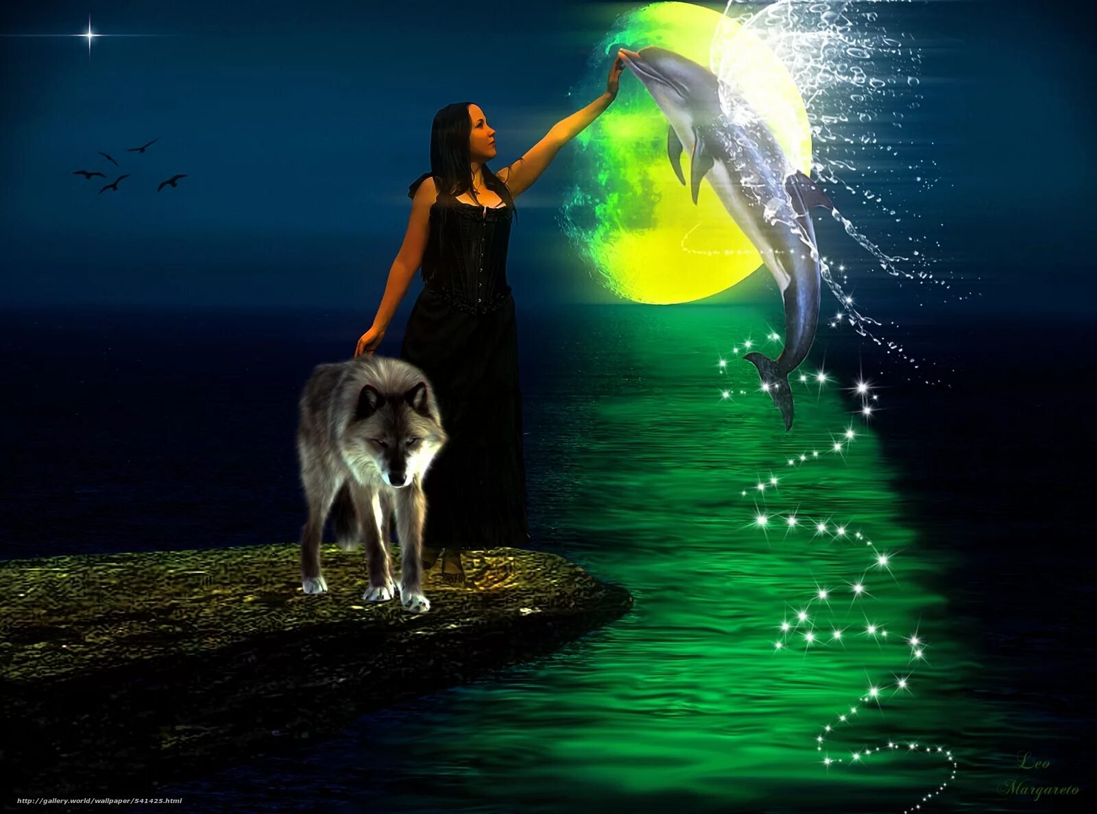 Спокойно живо. Девушка Луна и волк. Девочка и волк. Девушка с волком. Живые обои которые двигаются.